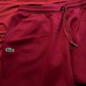 Lacoste Sweatpants Maroon or Burgundy (Color)
